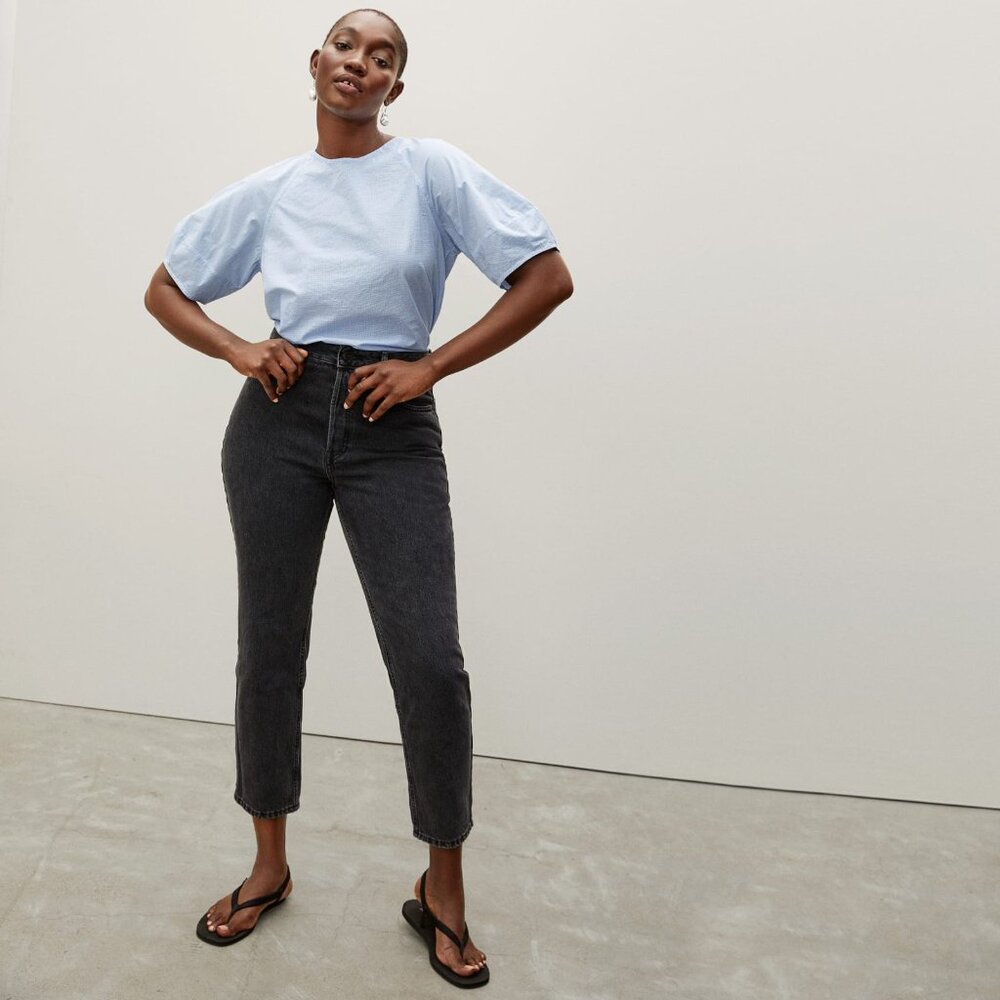 Everlane Light Blue Puff Sleeve Top
